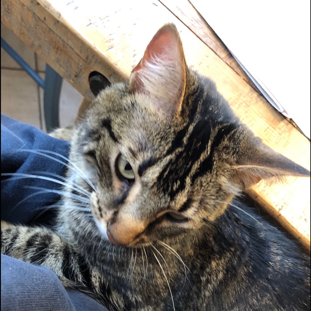 Meet your Posher, Ayse